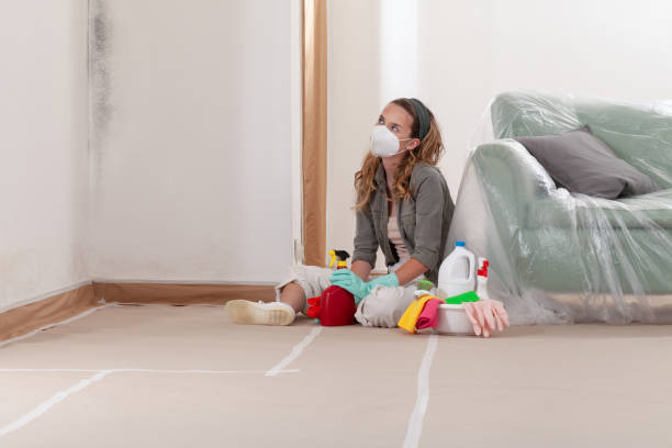 Reliable Mold Testing contractor in Madison, NC by WQB Mold Removal